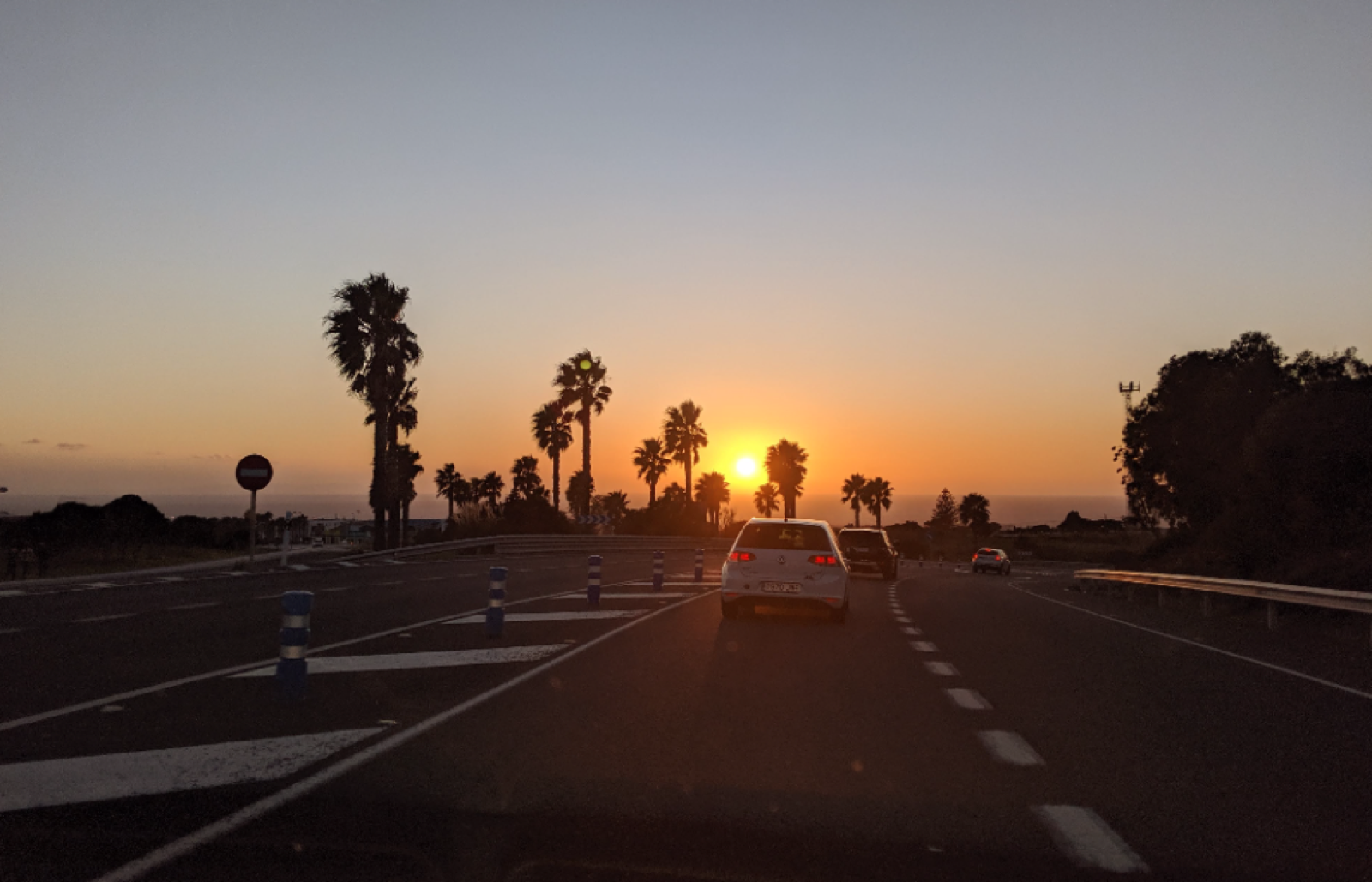 Sunset with palm trees