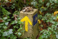 Camino sign