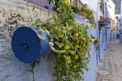Cool plant pots