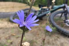 Biking in Ontario