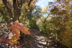 Fall in Salt Lake City