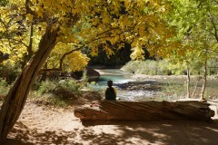 Zion national park
