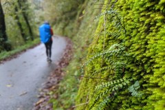 Camino day 1