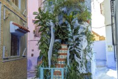 Chaouen House