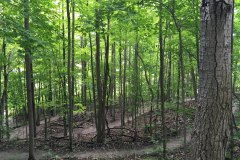 Bike trails