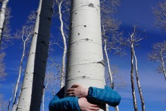 Tree hugger