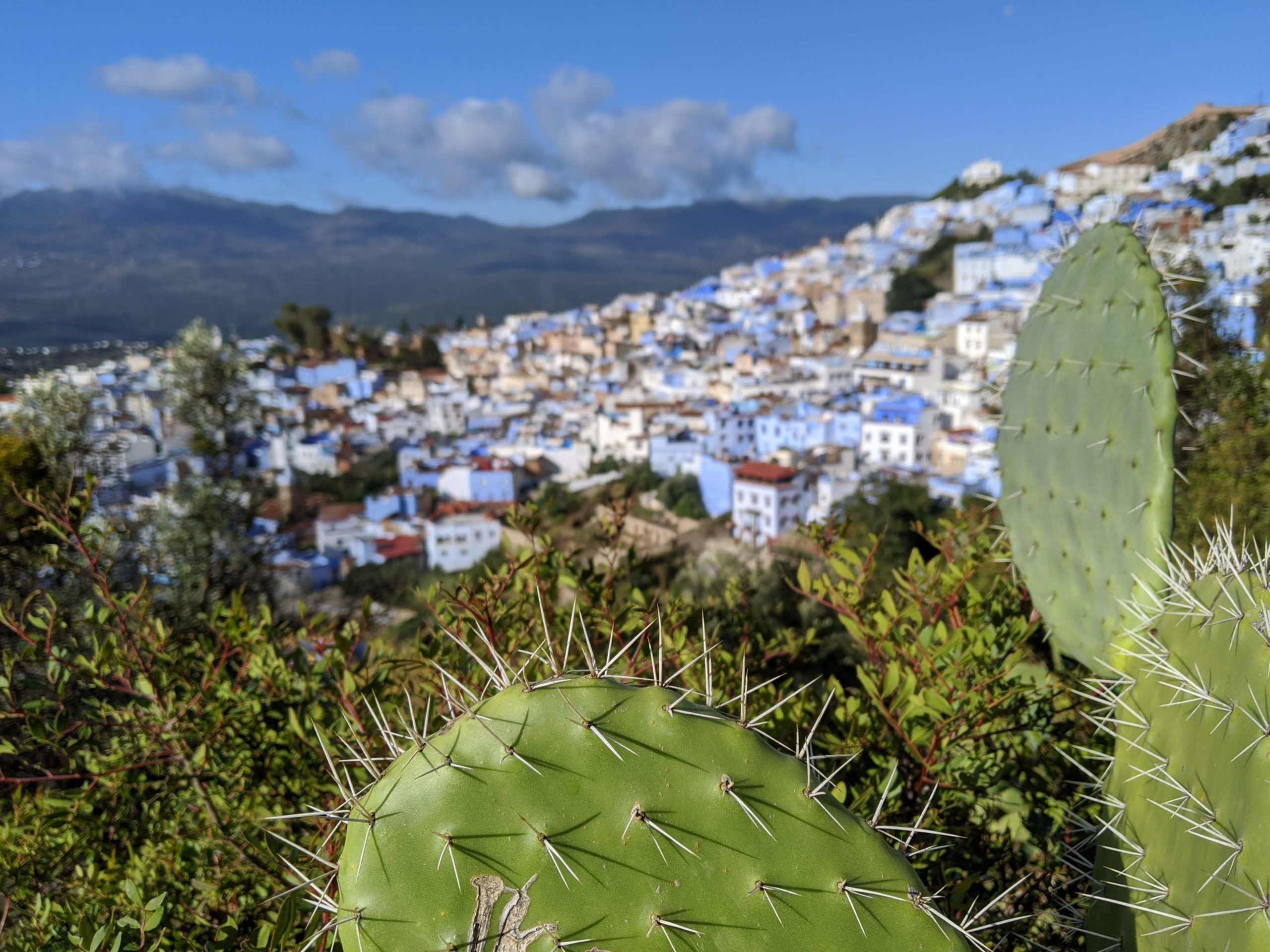 A view of the whole city from the spanish mosque